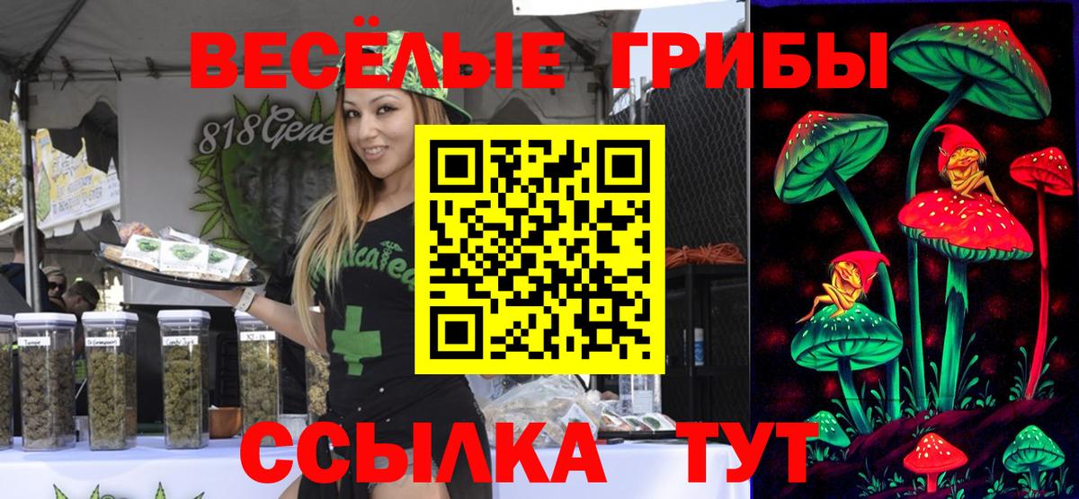 Галлюциногенные грибы MAGIC MUSHROOMS Полысаево