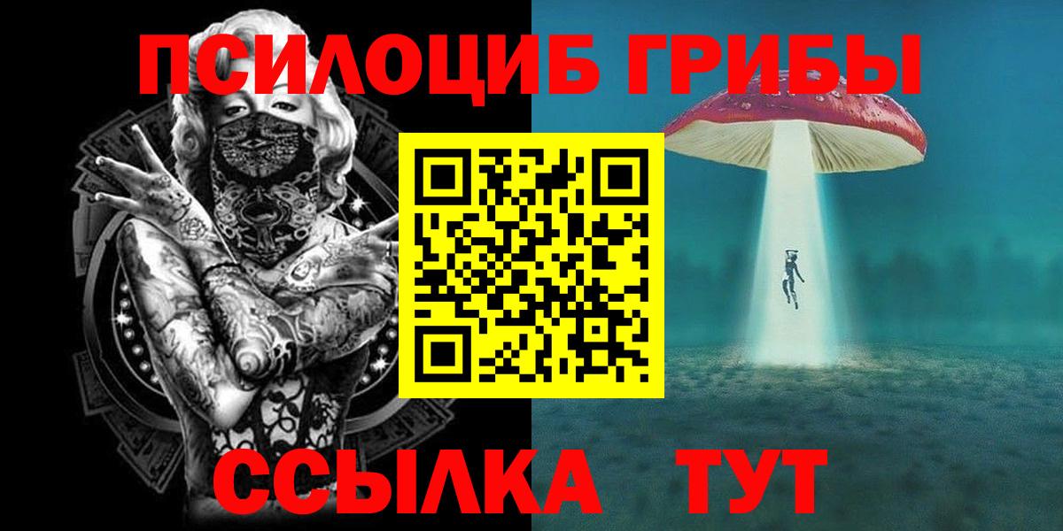 Полысаево  Псилоцибиновые грибы прущие грибы  Вход с VPN 